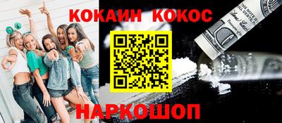 молекула духа Кингисепп