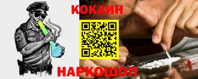 молекула духа Кингисепп
