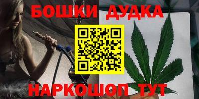 молекула духа Кингисепп