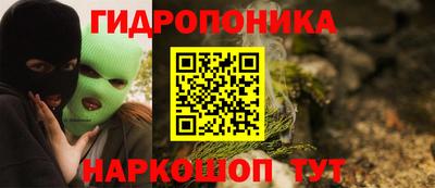 молекула духа Кингисепп