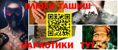молекула духа Кингисепп