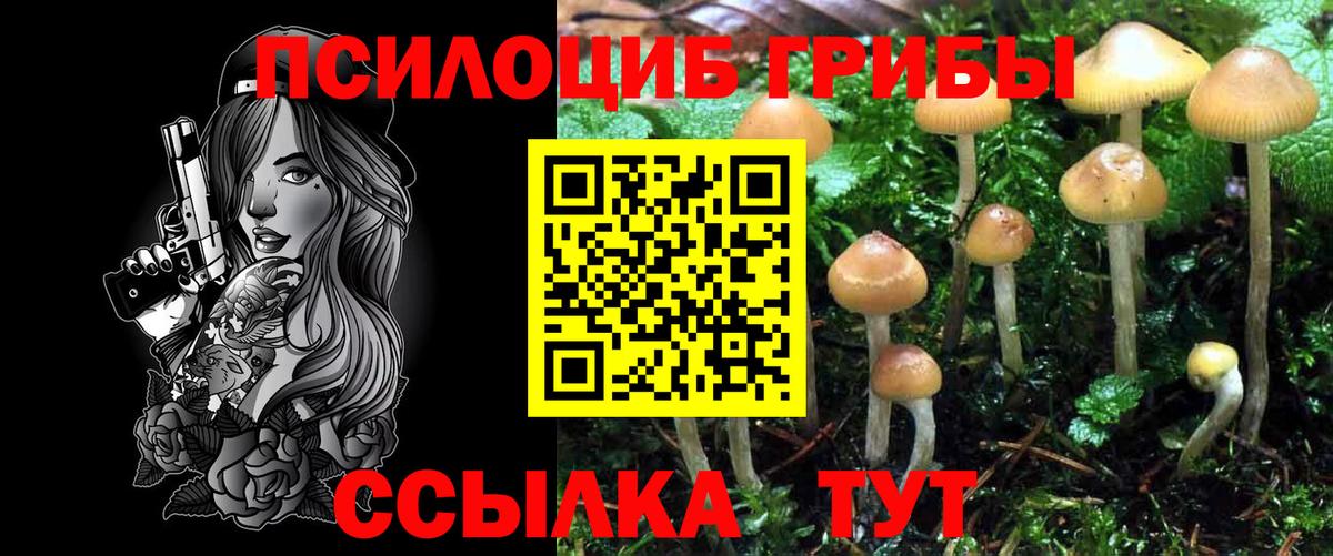 Галлюциногенные грибы ЛСД  Вход с VPN  где купить наркоту  Коркино 