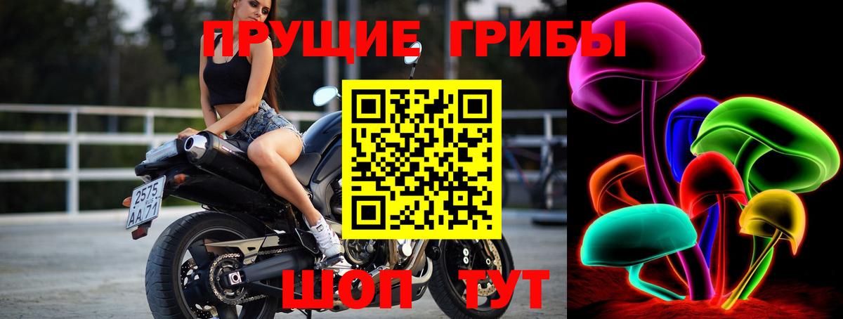 Псилоцибиновые грибы мухоморы Коркино
